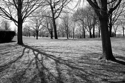IMG_7250_e_bw.jpg