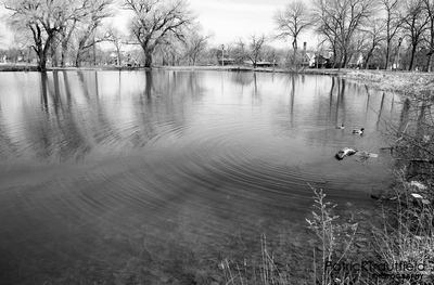 IMG_7267_e_bw.jpg