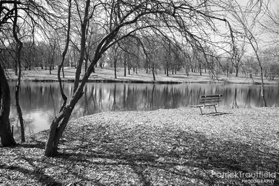 IMG_7275_e_bw.jpg