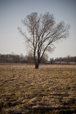 IMG_9999_e.jpg