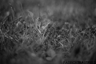 IMG_7118.jpg
