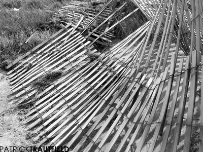 Beach_16.jpg