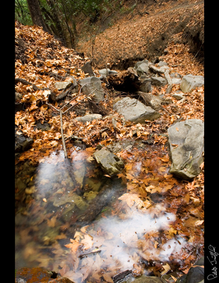 Nojoqui Falls 03