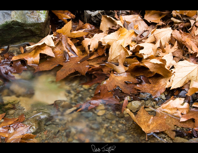 Nojoqui Falls 04