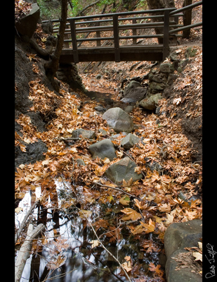 Nojoqui Falls 06