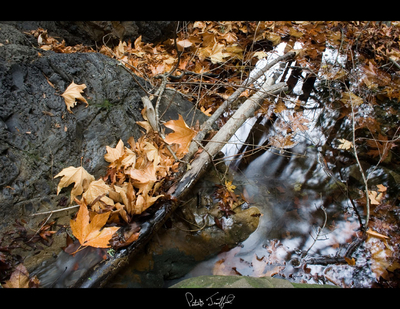 Nojoqui Falls 07
