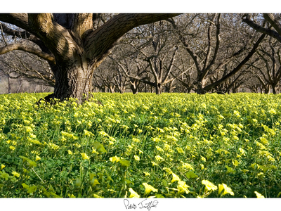 g13/63/484763/3/55963584.7a9b68a7.jpeg