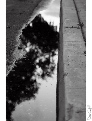 Sidewalk Water