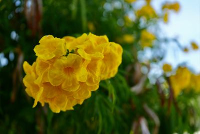 g13/63/525763/3/174920402.1fa75fe6.JPEG