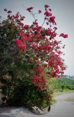 g13/63/525763/3/174971128.1a896465.JPEG