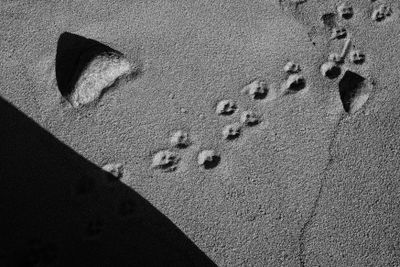 g13/63/525763/3/175157000.3b0328c3.JPEG