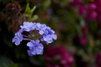 g13/63/525763/3/175245233.768628c6.JPEG