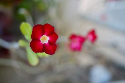 g13/63/525763/3/175501542.4fa6c3c9.JPEG