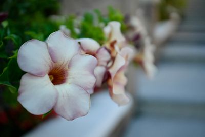 photo a day