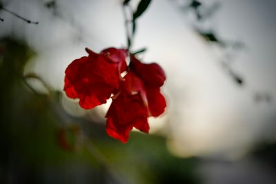 photo a day