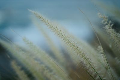g13/63/525763/3/175731437.cb00aedf.JPEG
