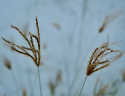 photo a day