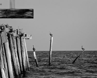 Old pier 