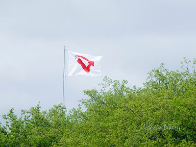 Blood Flag