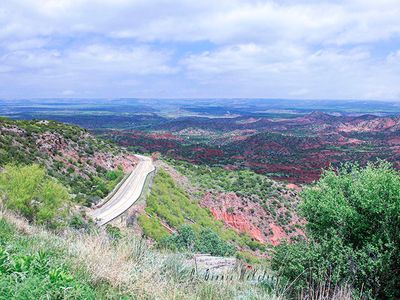 Palo Duro d