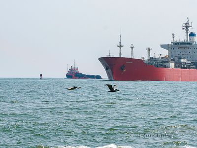 Ships