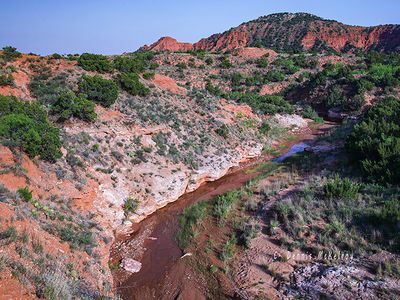 Palo Duro a
