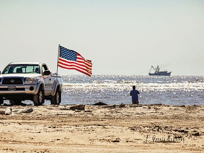 Freedom