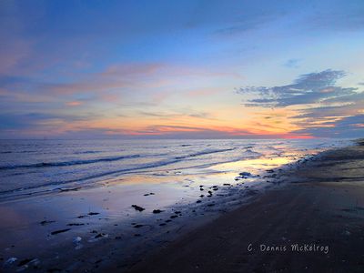 Evening on the Shore