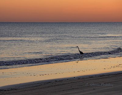 _MG_0152.jpg