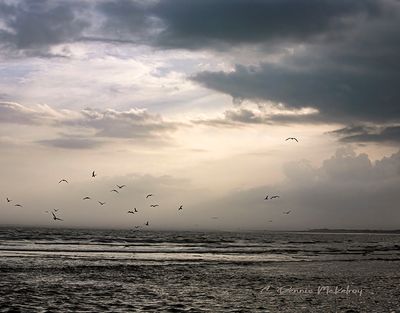 _MG_9624.jpg