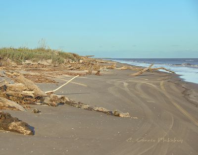 IMG_3375.jpg