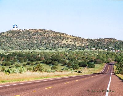 tex_022.jpg