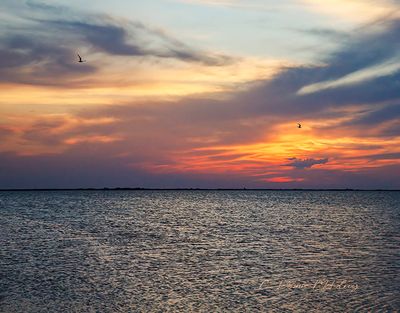 IMG_7810.jpg