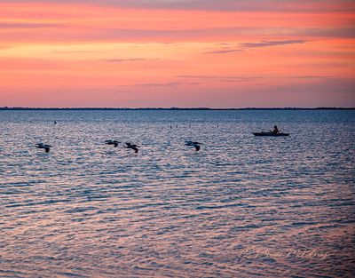 IMG_7951 copy.jpg