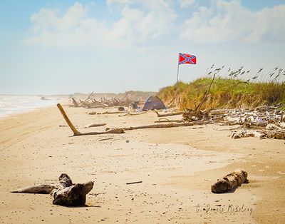 IMG_1019.jpg