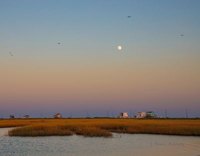 IMG_8341.jpg
