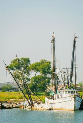 _MG_4587.jpg