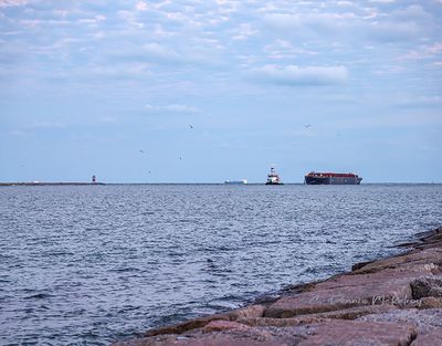 IMG_4536.jpg