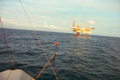 offshore015.jpg