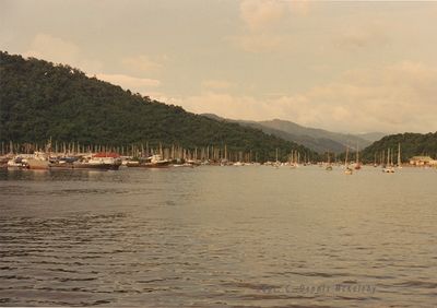trnd_004.jpg