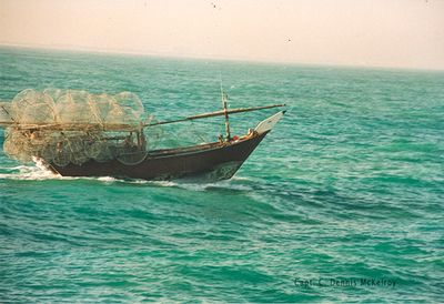 uae_016.jpg