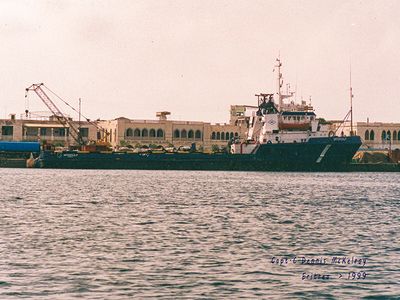 img031.jpg