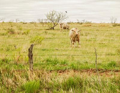 _MG_5396_5542.jpg