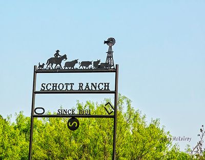 _MG_9341_6049.jpg