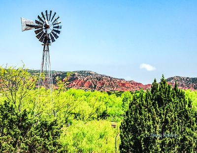 _MG_4064.jpg