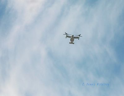 _MG_9720_5074.jpg