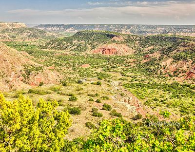 Palo Duro Canyon