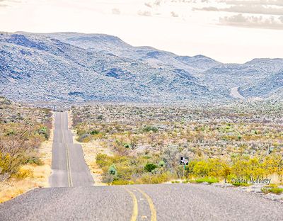 Davis Mountains