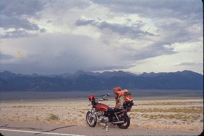 Cars, Trucks, and Bikes