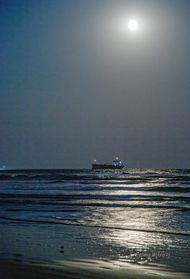 IMG_1111.jpg